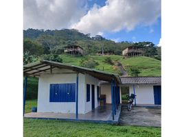 5 Habitación Casa en venta en Alejandria, Antioquia, Alejandria