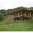 5 Habitación Casa en venta en Alejandria, Antioquia, Alejandria