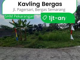  Land for sale in Klepu, Semarang, Klepu