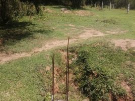  Land for sale in Amacuzac, Morelos, Amacuzac