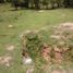  Land for sale in Amacuzac, Morelos, Amacuzac