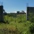  Land for sale in Amacuzac, Morelos, Amacuzac