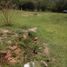  Land for sale in Amacuzac, Morelos, Amacuzac