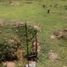 Land for sale in Amacuzac, Morelos, Amacuzac