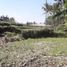  Land for sale in Ubud, Gianyar, Ubud