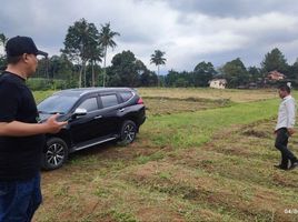  Land for sale in Megamendung, Bogor, Megamendung