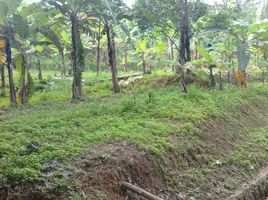  Tanah for sale in Sukabumi, West Jawa, Sukabumi, Sukabumi