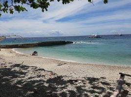  Land for sale in Oslob, Cebu, Oslob