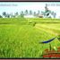  Land for sale in Ubud, Gianyar, Ubud