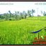  Land for sale in Ubud, Gianyar, Ubud