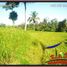  Land for sale in Ubud, Gianyar, Ubud