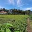  Land for sale in Bojongsoang, Bandung, Bojongsoang