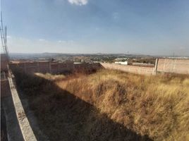  Grundstück zu verkaufen in Zapotlanejo, Jalisco, Zapotlanejo