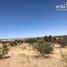  Land for sale in Durango, Durango, Durango, Durango