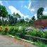3 Habitación Casa en venta en Prambanan, Jawa Tengah, Prambanan, Klaten, Jawa Tengah