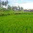  Tanah for sale in Tampak Siring, Gianyar, Tampak Siring