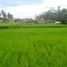  Tanah for sale in Tampak Siring, Gianyar, Tampak Siring