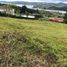  Land for sale in Calima, Valle Del Cauca, Calima