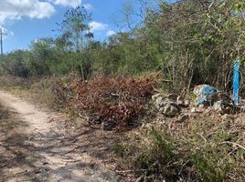  Grundstück zu verkaufen in Progreso, Yucatan, Progreso