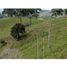  Land for sale in Yolombo, Antioquia, Yolombo