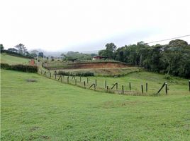  Terreno (Parcela) en venta en El Carmen De Viboral, Antioquia, El Carmen De Viboral