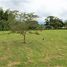  Land for sale in Pereira, Risaralda, Pereira