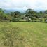  Land for sale in Pereira, Risaralda, Pereira