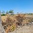  Land for sale in Menganti, East Jawa, Menganti
