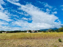  Grundstück zu verkaufen in Boquete, Chiriqui, Bajo Boquete