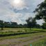  Land for sale in Ocozocoautla De Espinosa, Chiapas, Ocozocoautla De Espinosa
