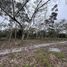  Land for sale in Ocozocoautla De Espinosa, Chiapas, Ocozocoautla De Espinosa