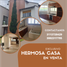 5 Schlafzimmer Villa zu verkaufen in Salento, Quindio, Salento