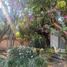 Villa 4 chambre à vendre à Cuernavaca, Morelos, Cuernavaca