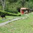 3 Bedroom House for sale in La Vega, Cundinamarca, La Vega