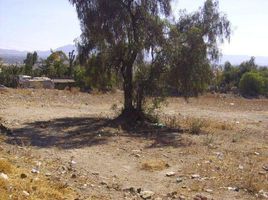  Grundstück zu verkaufen in Axapusco, Mexico, Axapusco, Mexico