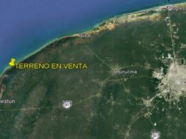  Grundstück zu verkaufen in Celestun, Yucatan, Celestun