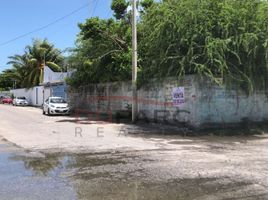  Grundstück zu verkaufen in Carmen, Campeche, Carmen