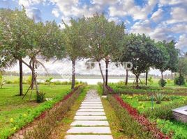  Land for sale in O Cho Dua, Hanoi, O Cho Dua