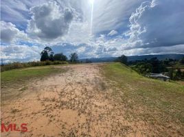  Terreno (Parcela) en venta en Parque de los Pies Descalzos, Medellín, Medellín