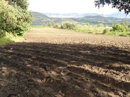  Terrain for sale in Antonio Ante, Imbabura, San Jose De Chaltura, Antonio Ante