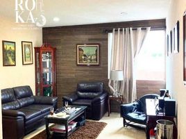 2 Bedroom Apartment for rent in Coatepec, Veracruz, Coatepec, Veracruz