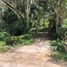  Terreno (Parcela) en venta en Ginyar, Bali, Ginyar