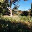  Terreno (Parcela) en venta en Maipo, Santiago, Buin, Maipo