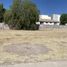  Land for sale in Jesus Maria, Aguascalientes, Jesus Maria