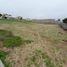  Land for sale in Elqui Coquimbo, Coquimbo, Elqui, Coquimbo