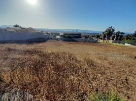  Land for sale in Elqui Coquimbo, Coquimbo, Elqui, Coquimbo