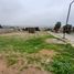  Land for sale in Elqui Coquimbo, Coquimbo, Elqui, Coquimbo