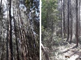  Terreno (Parcela) en venta en Araucanía, Lautaro, Cautín, Araucanía