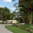  Land for sale in Valladolid, Yucatan, Valladolid