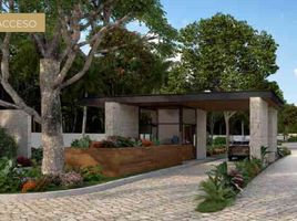  Land for sale in Valladolid, Yucatan, Valladolid